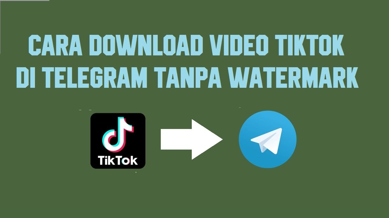 Cara Download Video Tiktok Di Telegram No Watermark Pdscustom Com