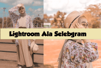 Download Preset Lightroom Selebgram Gratis