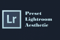 Preset Lightroom Aesthetic Gratis Tinggal Download