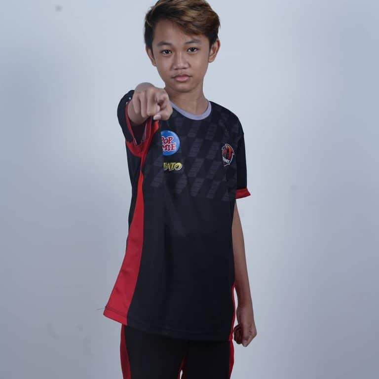Fakta Dan Foto Arul Pro Player FF
