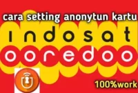 Cara Setting Anonytun Indosat