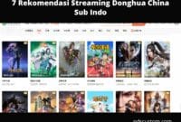 7 Rekomendasi Streaming Donghua China Sub Indo