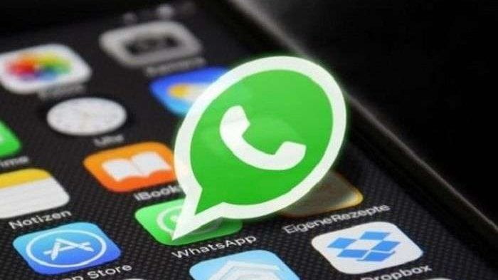 Cara Aktifkan Fitur 'Mute' Selamanya untuk Notifikasi Grup WhatsApp, Segera Update Versi Terbarunya